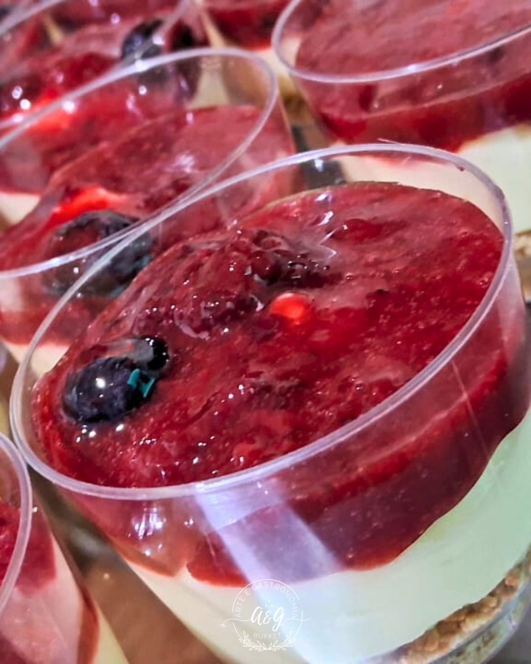 aeg-buffet-galeria-046