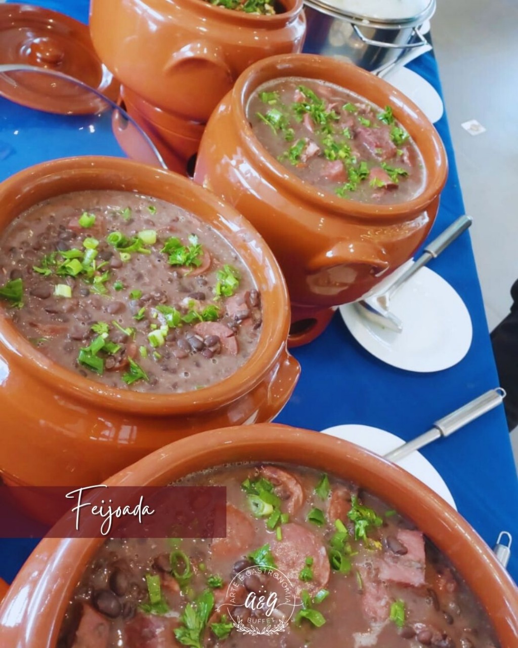 aeg-buffet-galeria-109