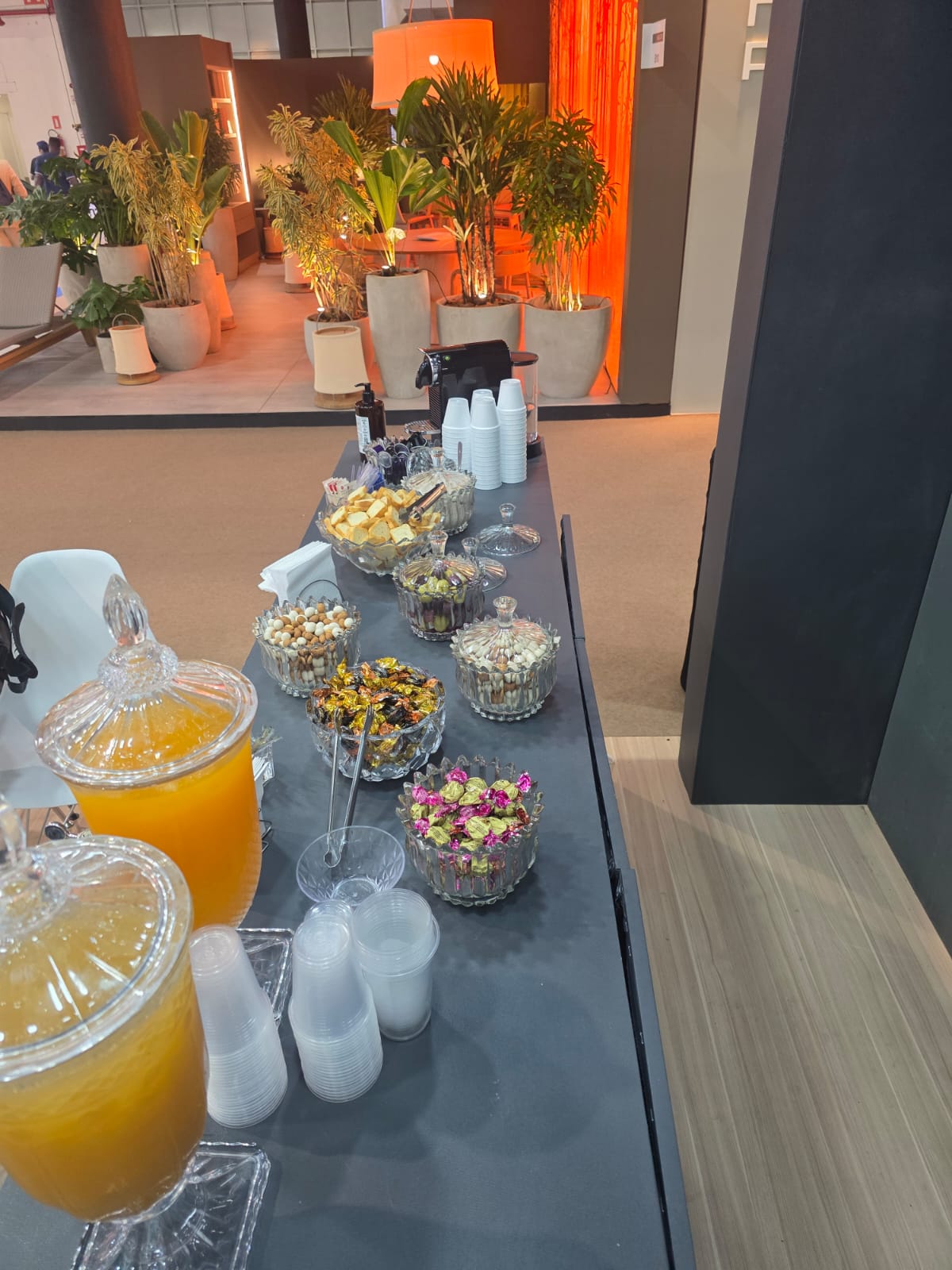 aeg-buffet-galeria-136