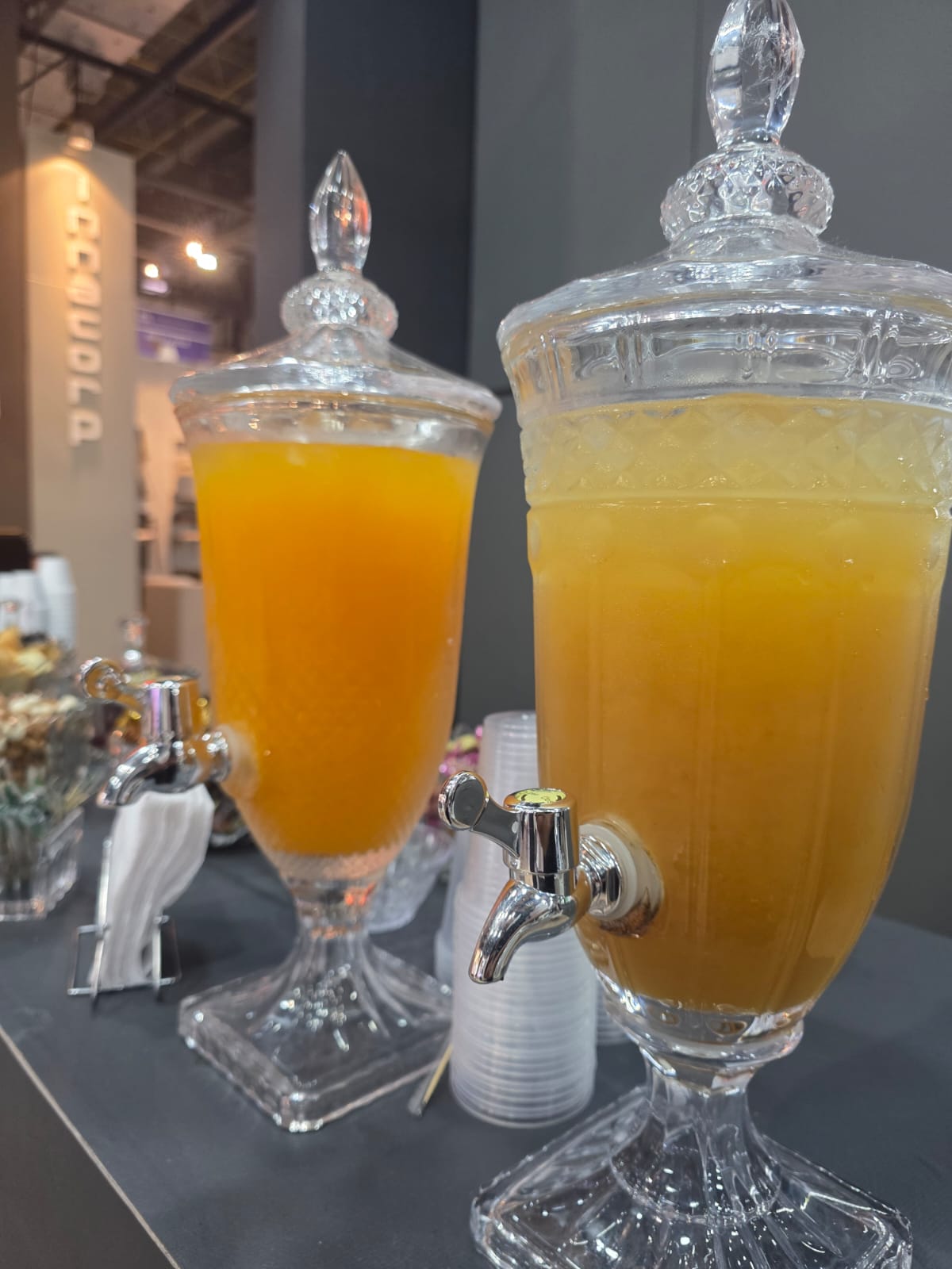 aeg-buffet-galeria-137